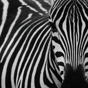 BUNDLE SALE 25% OFF 4 or more - LIMITED TIME